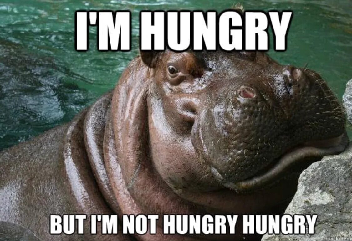 Hungry lets go and eat something