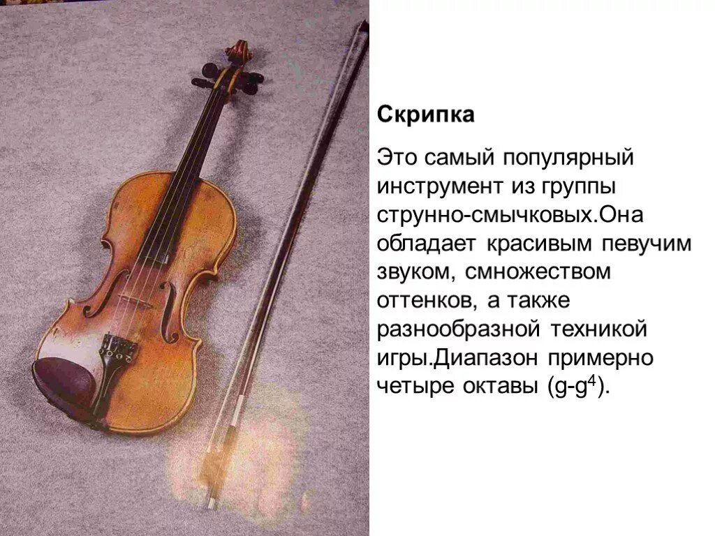 Скрипка определение. Скрипка инструмент симфонического оркестра сообщение. Рассказать о скрипке. Инструменты из группы струнно-смычковых. Рассказ о скрипке.