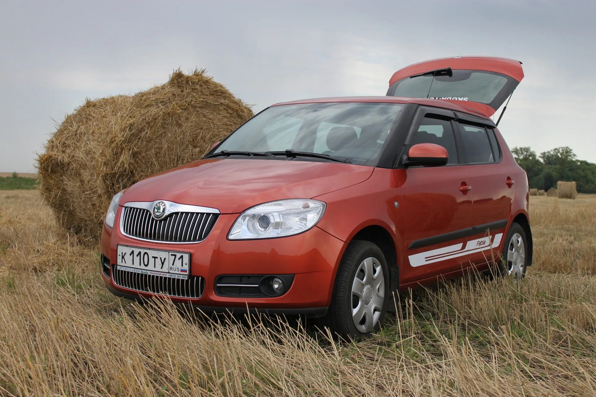 Купить шкоду фабию москва. Skoda Fabia 2012. Skoda Fabia 1.2. Шкода Фабия 1. Шкода Фабия 1.2 2010.