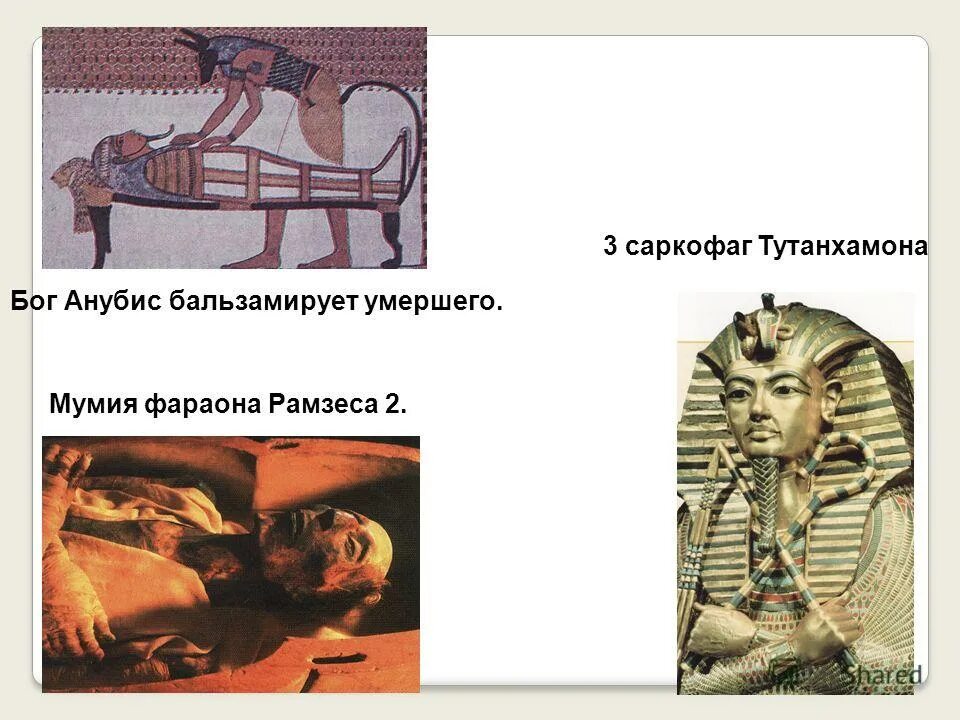 Почему фараона назвали фараоном