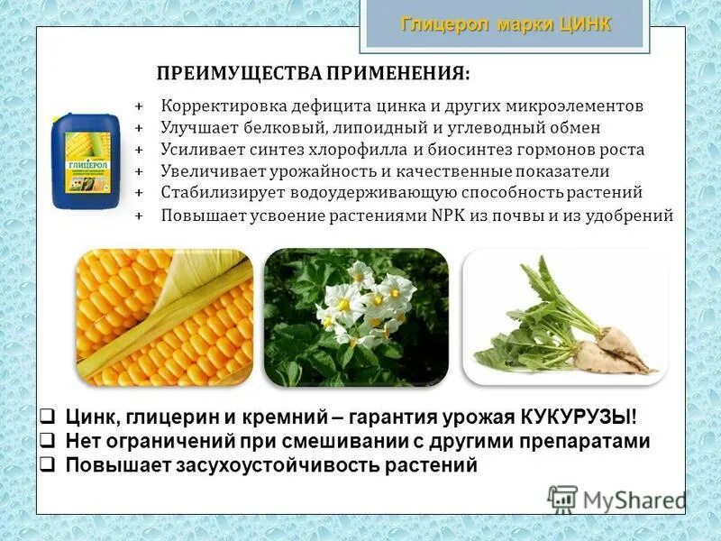 Глицерин цинк. Дефицит цинка у растений. нехватка цинка у растений кукурузы. глицерин и цинк.