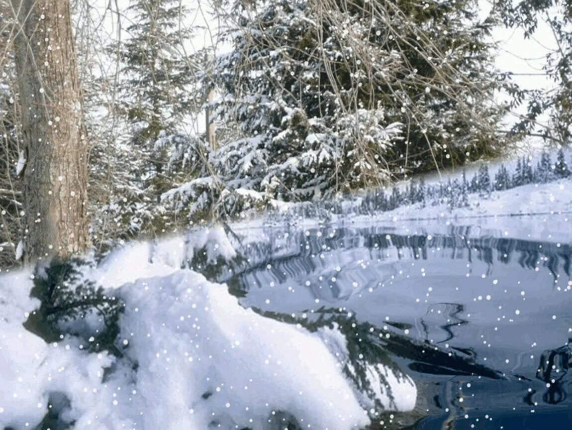 Снегопад анимация. Февраль природа. Живая природа зимой. Пушистый снег. Снег кружится в лесу.