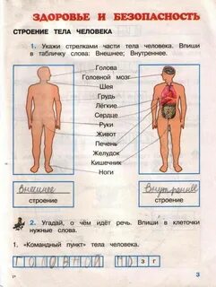 Окружающий мир 3 класс человек проверочная