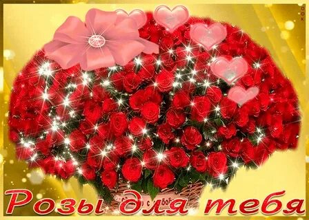 Все участники от всей души