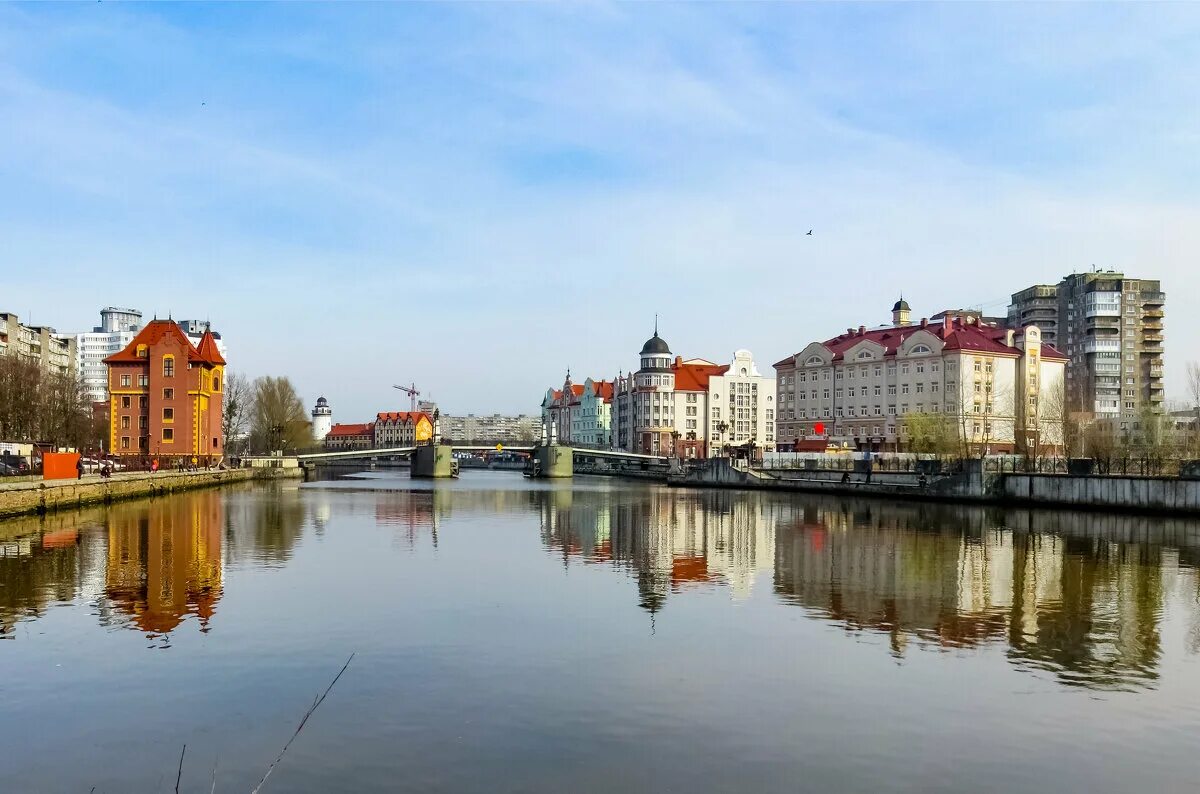 Преголя. Река преголя калининградская область. Как преголя изменяется в разные времена года. Река преголи в калининграде. Набережная реки преголя в калининграде.