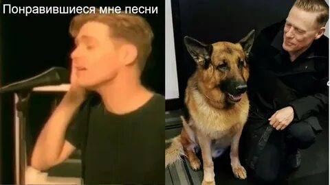 Плиз фо гив ми брайан