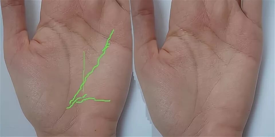 вино хиромант. вино хиромант. хичомат. индийская хиромантия. хиромант пальмистр.