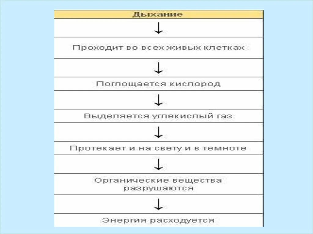 Процессы жизнедеятельности клетки 5 класс биология. Процессы жизнедеятельности клетки 5 класс. Процессы жизнедеятельности клетки выделение. Схема процессы жизнедеятельности клетки. Протекает на свету и в темноте