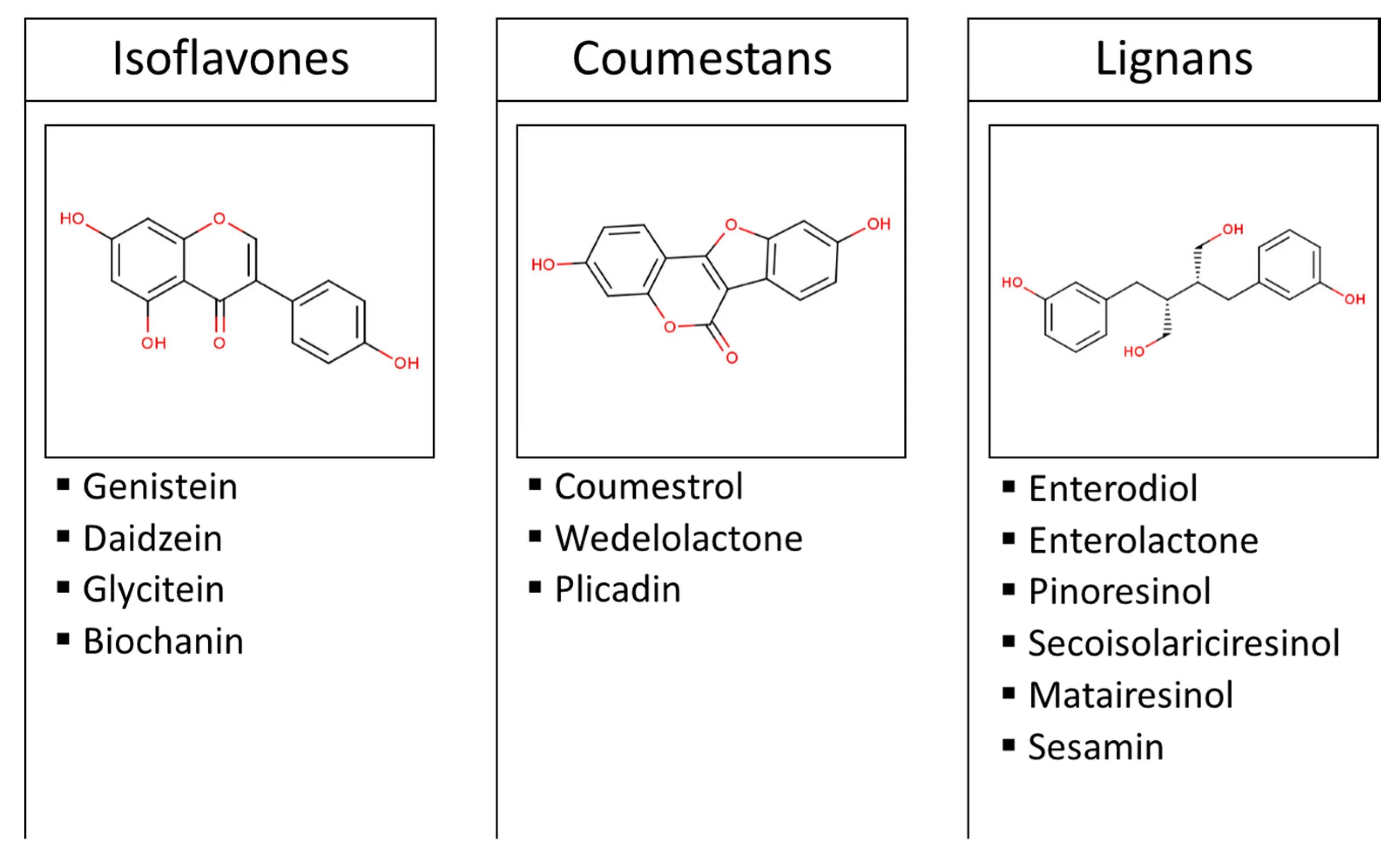 Источник эстрогенов. Фитоэстрогены лигнаны препараты. Phytoestrogens. Гинестеин активная форма. Генистеин в сое.