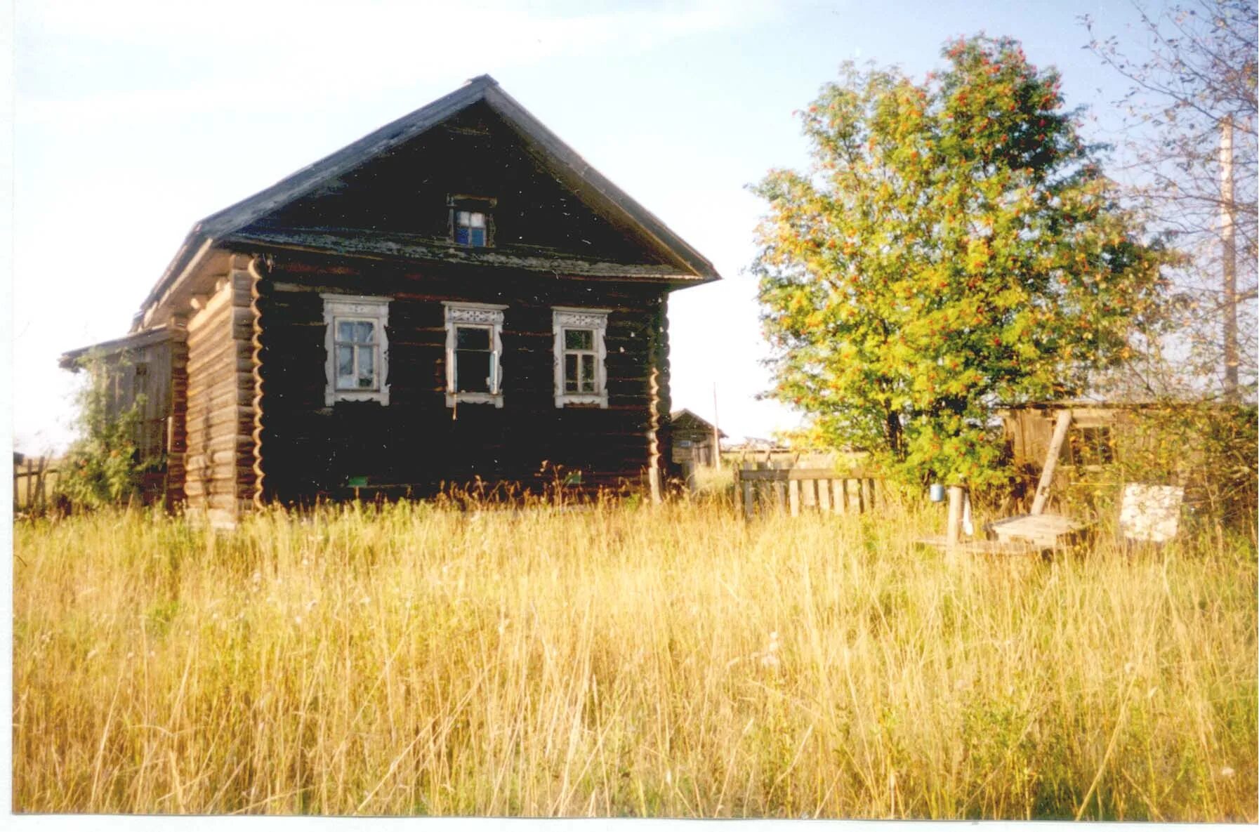 деревня кошкино владимирская область. село кошкино курганская область. деревня кошкино вачский район. липецкая область деревня кошкино. деревня кошкино вачский район.