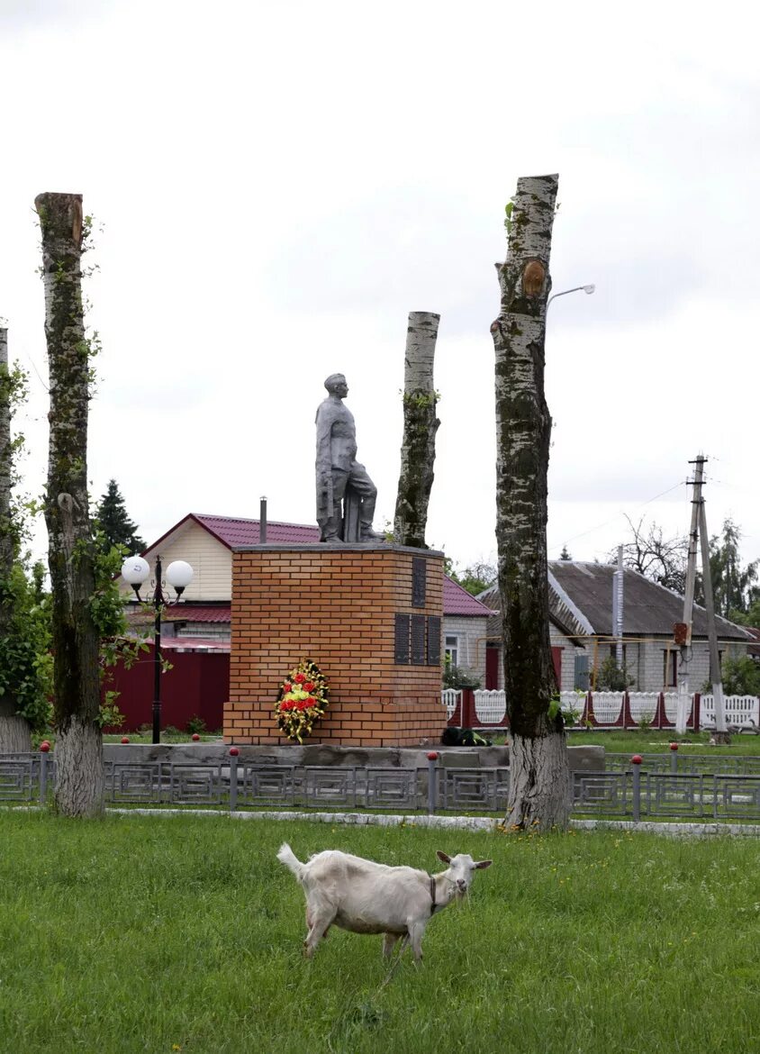 Прогноз погоды тим курской области. Город тим Курская область. Поселок тим. Село тим Курской области. Население Тима Курской области.