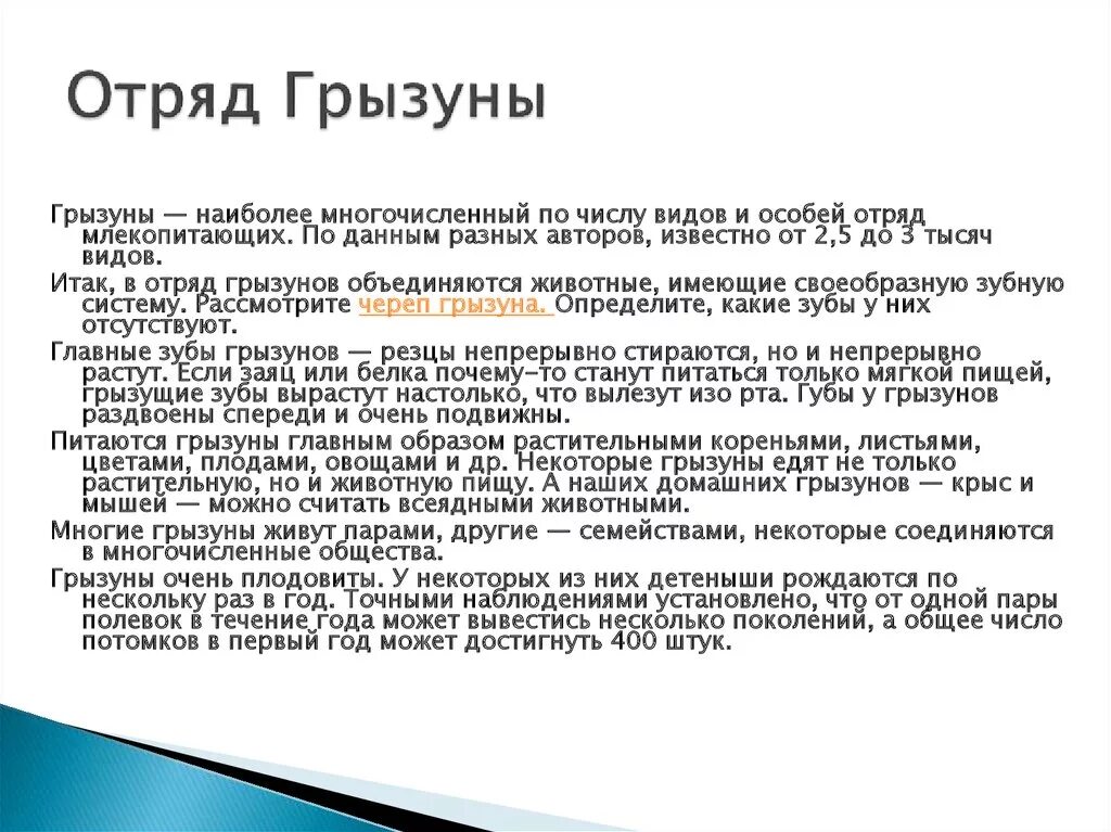 Признаки отряда грызуны. Отряд грызунов общая характеристика. Характеристика отряда Грызуны биология 7 класс. Особенности отряда Грызуны кратко. Признаки характерные для отряда грызунов.