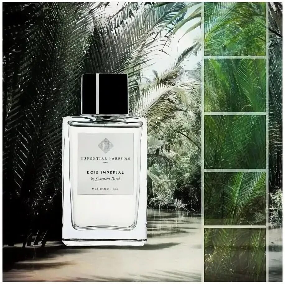 Духи бойс империал женские. Аромат bois imperial essential parfums. essential parfums paris bois imperial by quentin bisch. essential parfums paris mon vetiver. императорский лес духи.