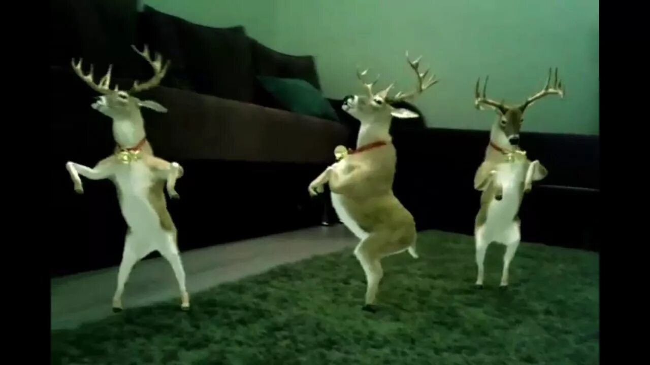 Deer dance system. Deer dance system. Танцующие лоси. Танцующие олени. Танец оленей.