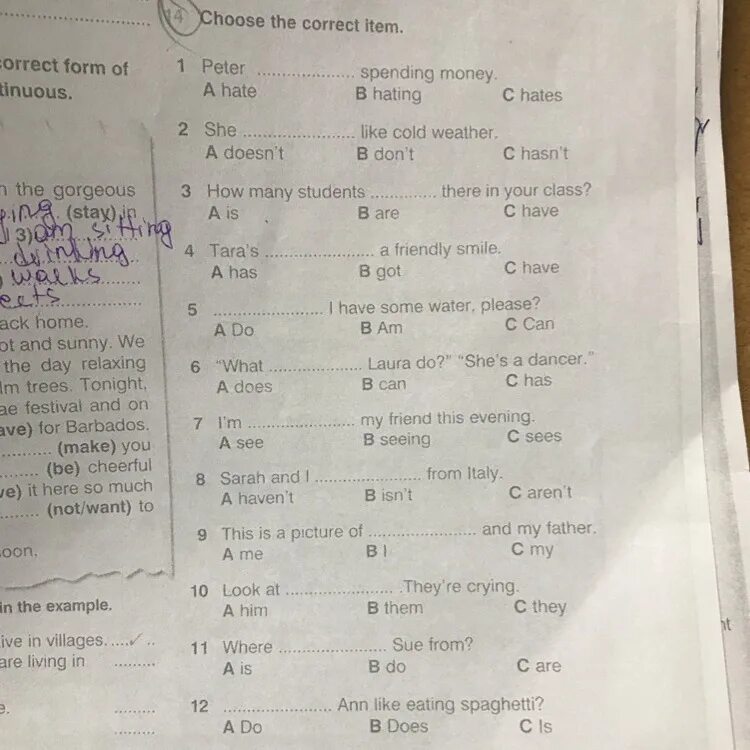 Under the correct item. Choose the correct item. choose the correct item peter is of italian.