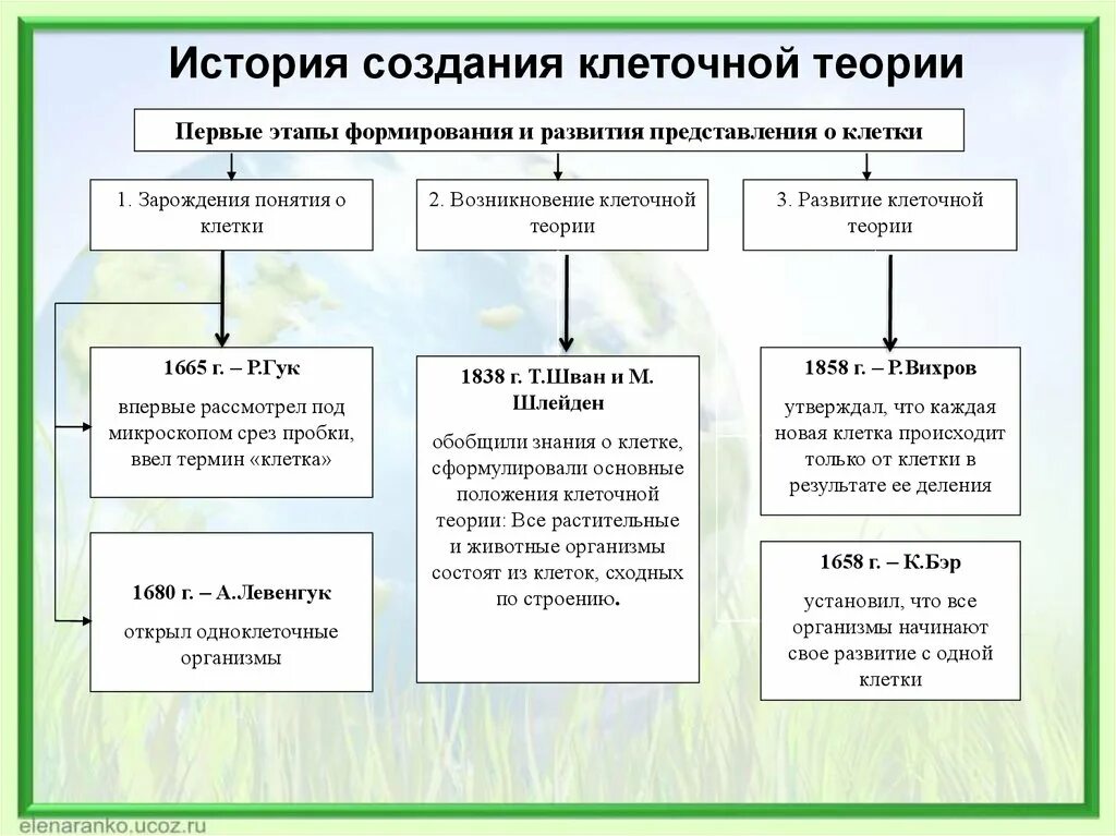 Методы цитологии клеточная теория. Методы цитологии клеточная теория 10 класс. Методы изучения клетки таблица биология 10 класс. Этапы развития клеточной теории.