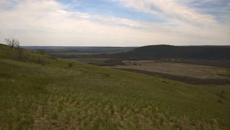 Поселок нижняя крынка. Лагерь барвинок на нижней крынке. Верхняя крынка макеевка. Село крынки херсонская область. Степано-крынка девочки.