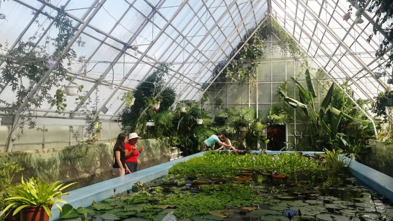 мельбурн оранжерея. оранжерея тгу. оранжерея ботанического сада спб. это происходило в оранжерее. это происходило в оранжерее.