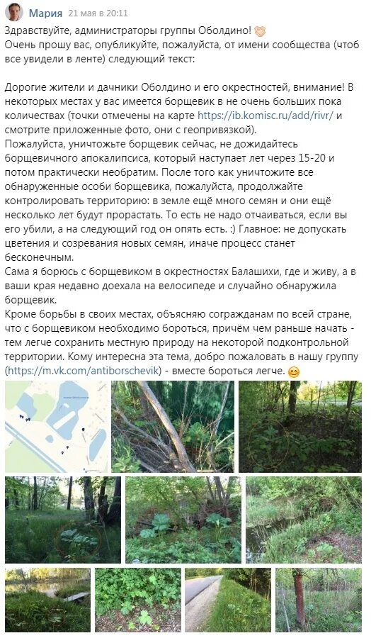 Сжигание травы на участке. Мульчирование борщевика. Косьба борщевика. Как уничтожить борщевик навсегда. Мульчирование борщевика.