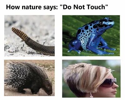 How nature