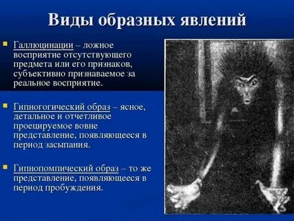 Галлюцинации животные
