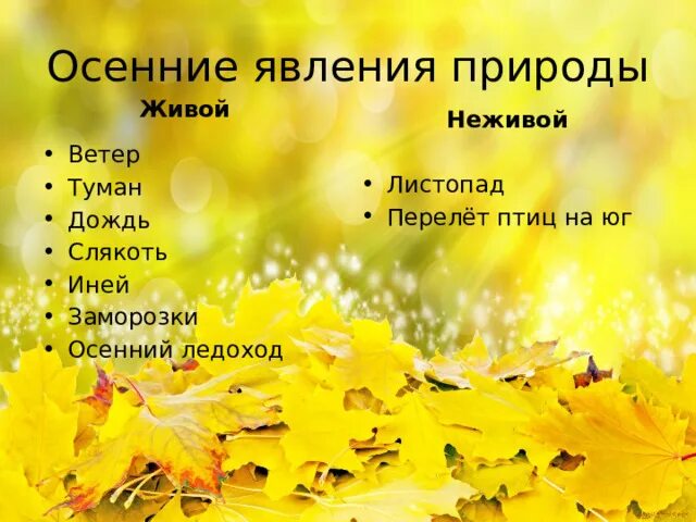 Осенние явления в неживой природе. Осенние явления в живой природе. Явления живой природы осенью. Осоенье явления природы. Осеннего неживой природы