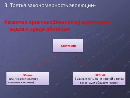 Общие закономерности эволюции презентация 11 класс