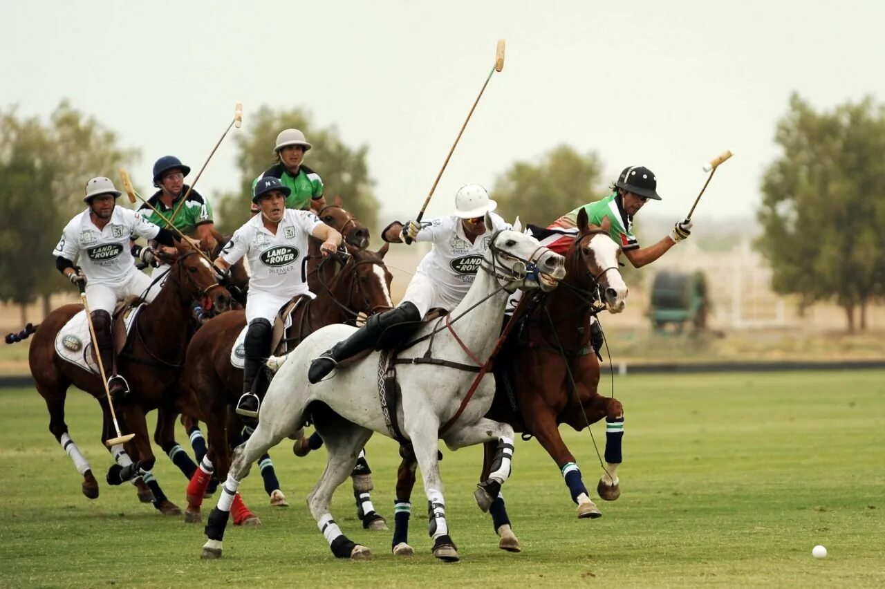 Самый популярный вид спорта в великобритании. Polo Sport поло. Великобританское Конное поло. Конное поло Англия. Национальный вид спорта в Англии.