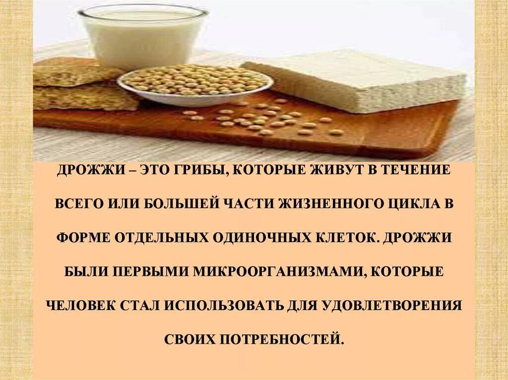 Каково значение дрожжей в жизни человека. Дрожжи. Дрожжи грибы. Дрожик. Что такое дрожжи в кулинарии.