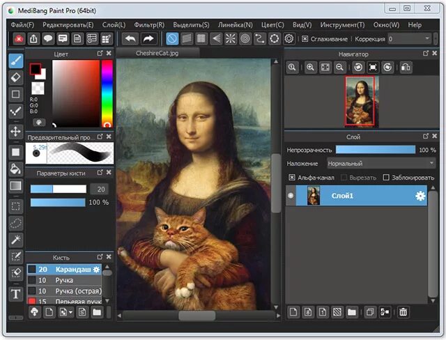 Media paint. Paint Pro. Медибэнг пэинт про. MEDIBANG Paint Pro. Цифровая живопись программы.