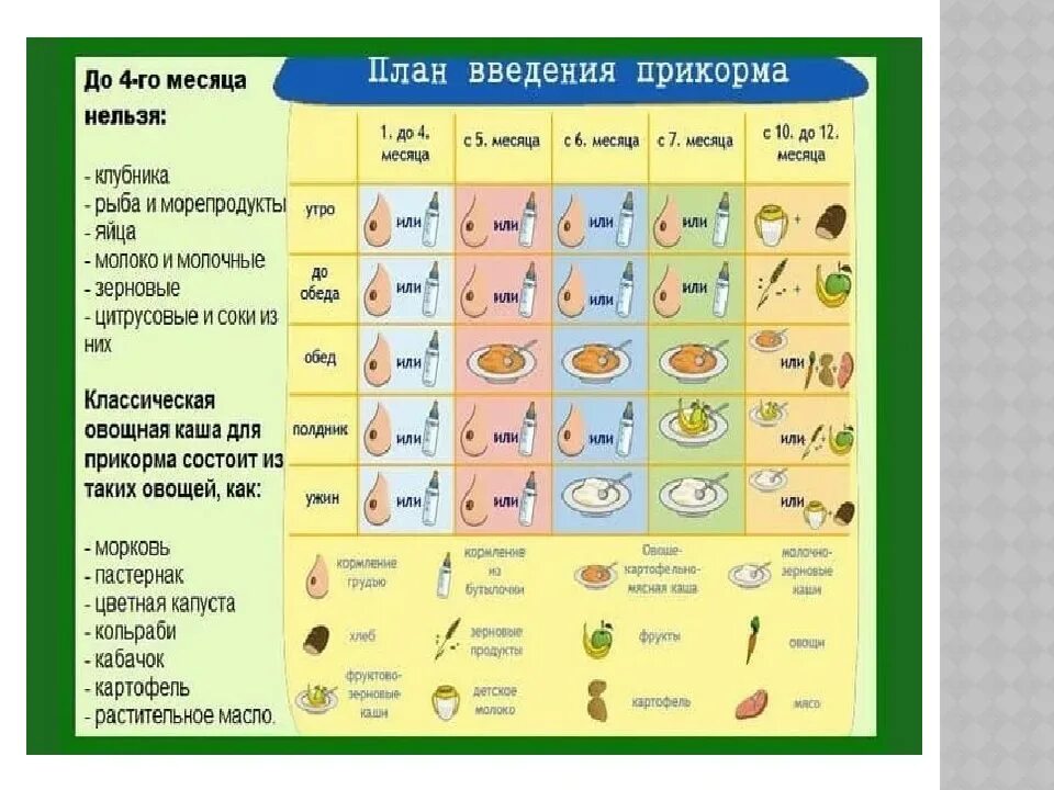 Можно ли прикорм 4 месяца. Схема введения прикорма для детей с 6 месяцев. Схема ввода прикорма с 6 месяцев. Схема ввода прикорма с 4 месяцев. Схема раннего прикорма с 4 месяцев.