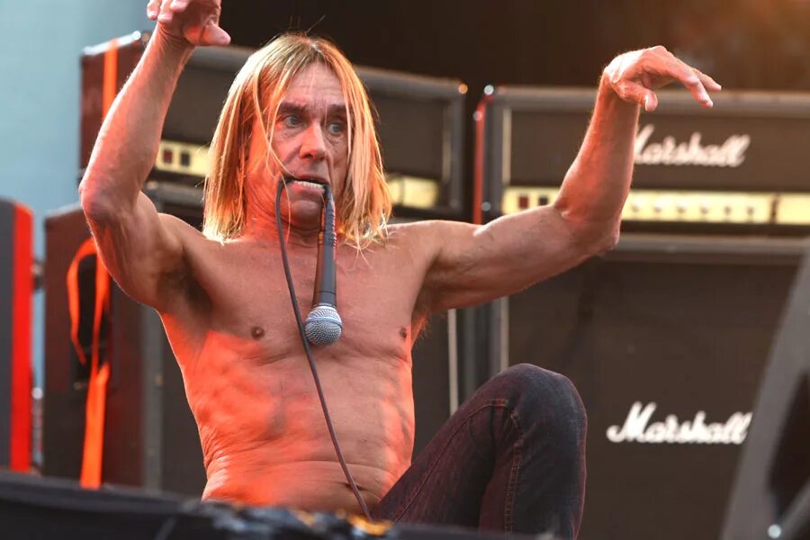 Iggy Pop - Loser или как разводят на бабки Макс Ильин (Собаки Качалова) Дзен