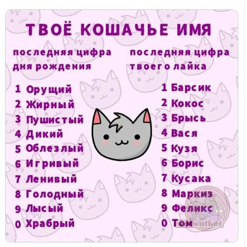 Имена для котов мальчиков. Имена для котят. Красивые имена для кошек. Имена для котов мальчиков. Имена доя коров мальчкиов.