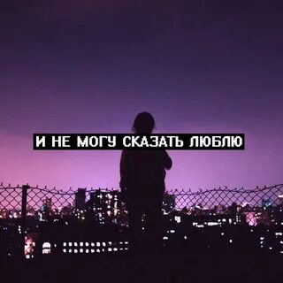 Песня квинка шарит