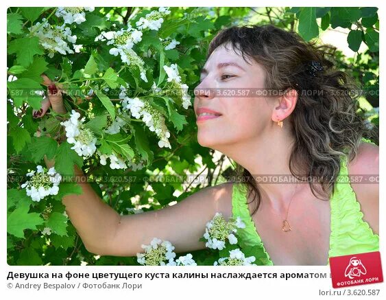 Песня девочка понтуется пахнет и цветет