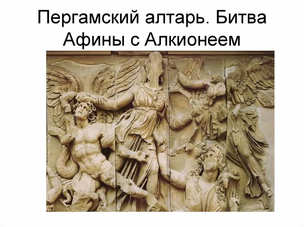 Битва афины. Афины пергамский алтарь. пергамский алтарь горельеф. алтарь зевса. битва афины с алкионеем. пергамский алтарь гигантомахия.