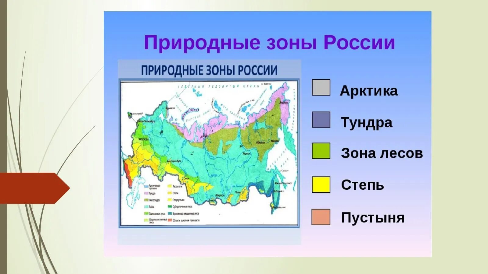 Тула какая природная зона. Название природных зон. Название зон России. Интерактивный плакат. Интерактивный плакат в THINGLINK.