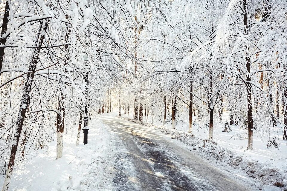 4 декабря снег. Сыктывкар зима. Сыктывкар природа зимой. Снежная зима в городе Сыктывкар. Зимний лес Сыктывкар.