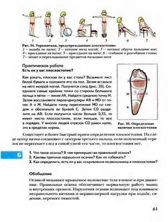 Лабораторная работа по биологии плоскостопие