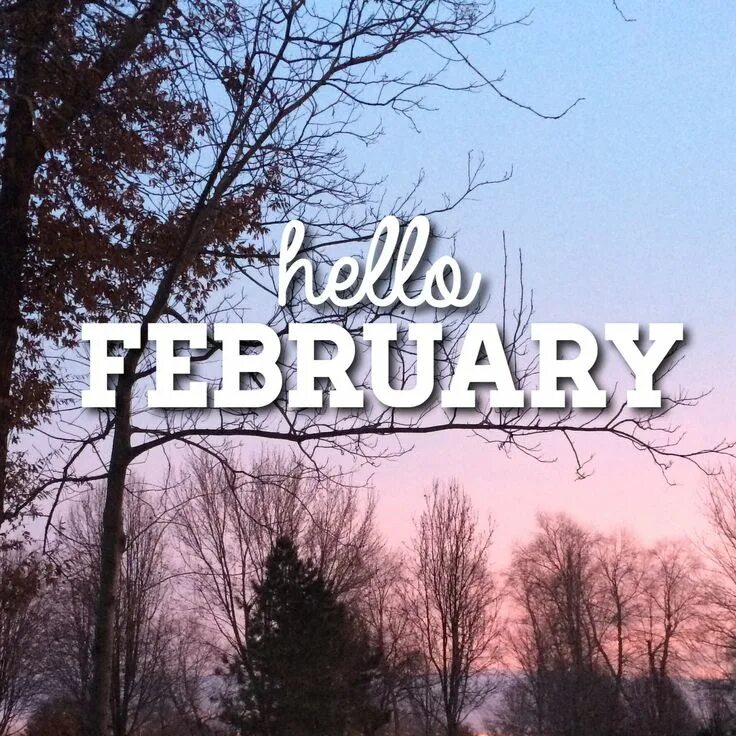 Февраля надпись. February надпись. Привет февраль. February картинки. Hello february