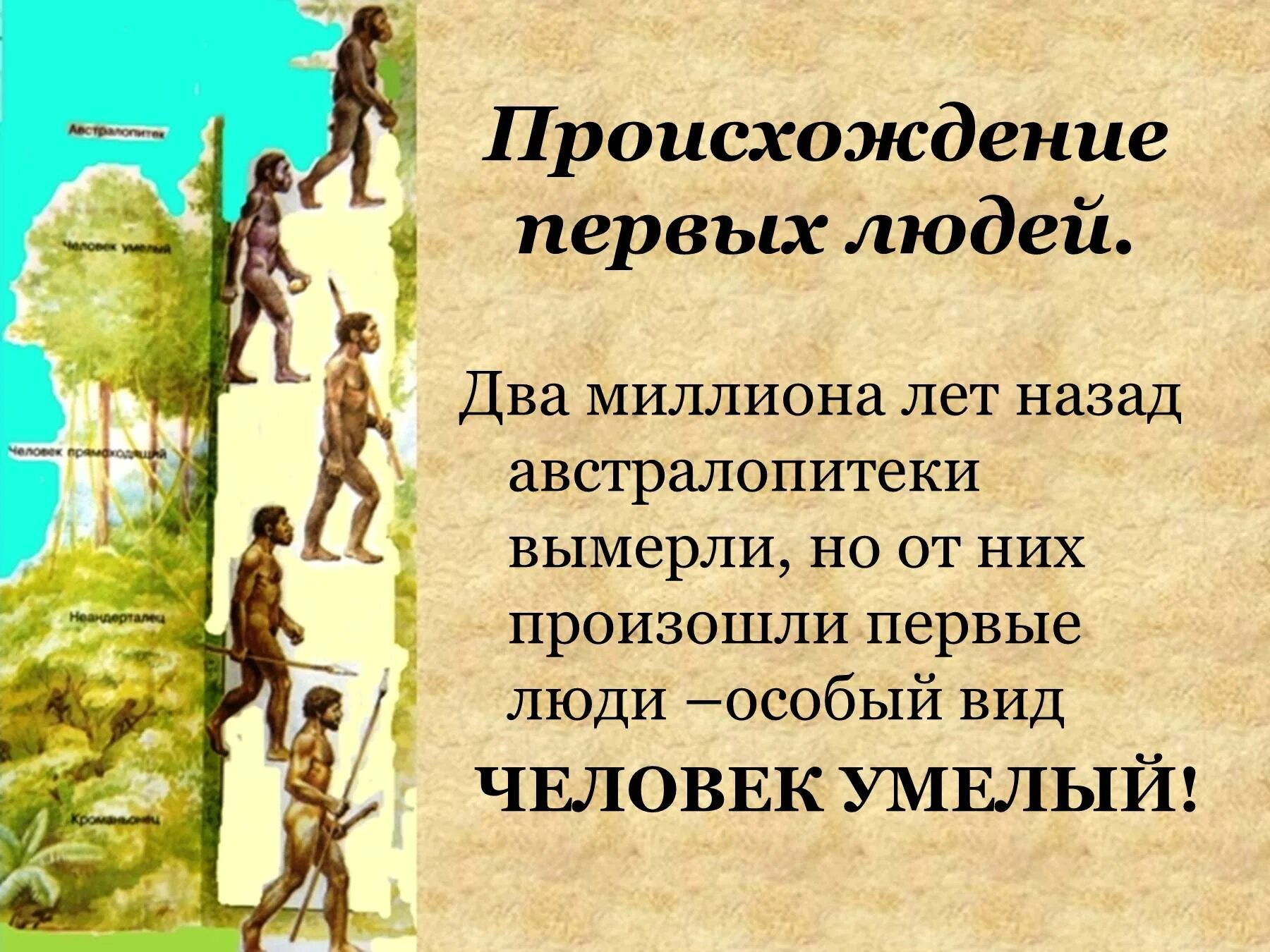 Как появился человек на земле. Откуда появились люди на земле. Первые люди на земле появились. Человек как человек появился на земле.