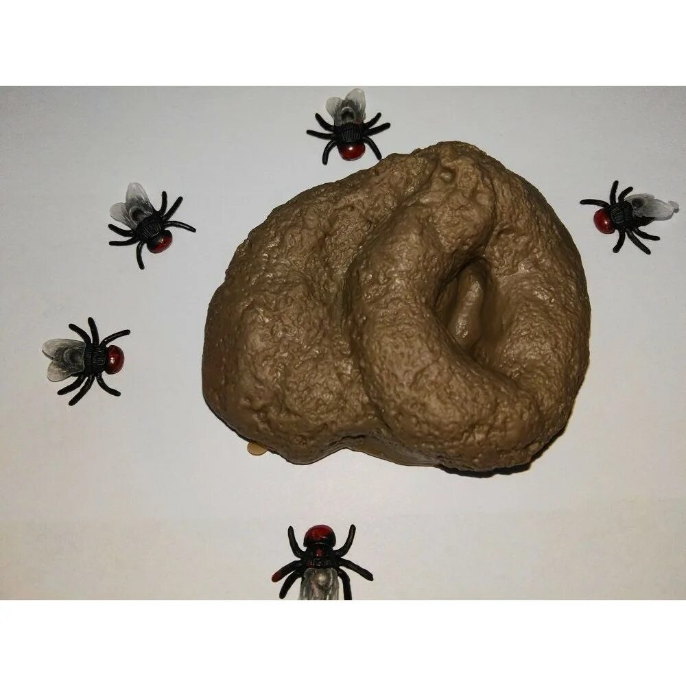 Apochima juglansiaria. Паук краб птичий помет. Паук бокоход. Паучки из еды. Тарантул сенокосец.