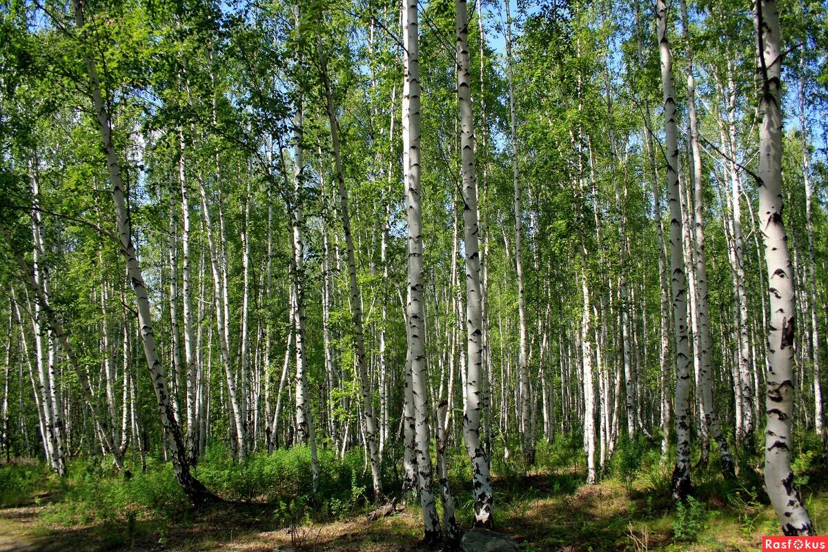 Статьи, Конжаковский Камень