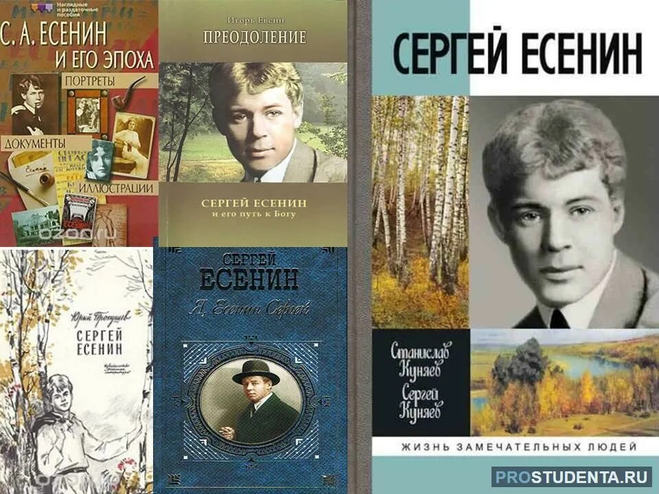 Сборники произведений Есенина. Произведения Есенина книги. 5 известных романов