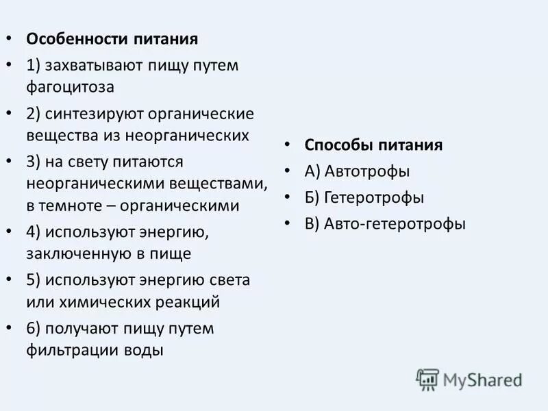 Получают пищу путем фильтрации. Строение губки. Получают пищу путем фильтрации. Захватывают пищу путем фагоцитоза автотрофы или гетеротрофы. Система промышленной водоподготовки схема.