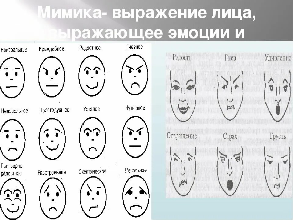 Какое может быть выражение лица. Выражения лица эмоции. мимика человеческого лица схема. эмоции и выражения лица человека. различные выражения лица.