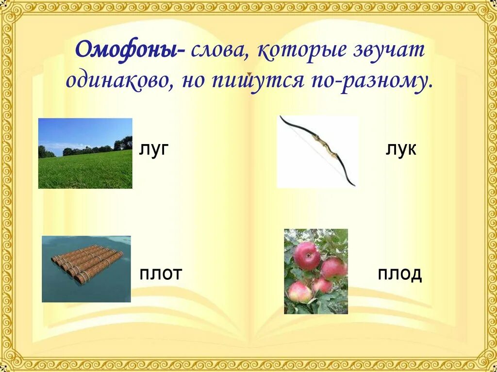 Омофоны. Омофоны примеры. Слова которые звучат одинаково а пишутся по разному. Омонимы которые одинаково звучат пишутся по разному. Слова одинаково пишутся но по разному произносятся