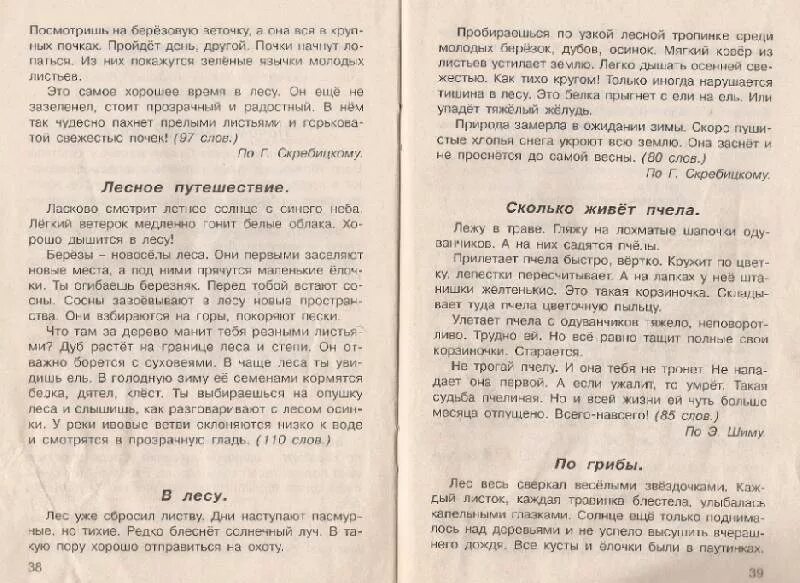 Виды диктантов в начальной школе. Диктанк. Словарный диктант. Тишина леса диктант. Диктант весной.