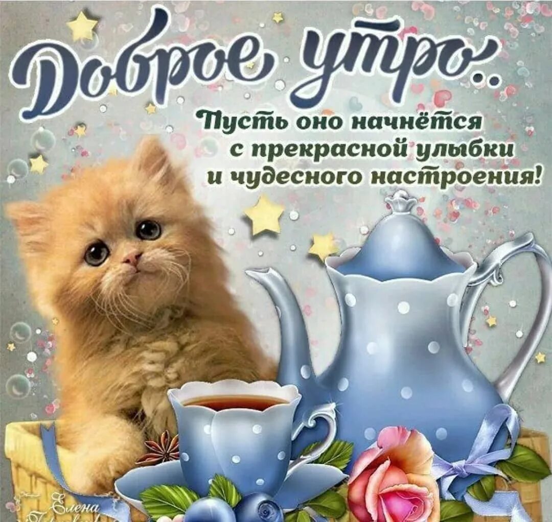 Доброе утречко отличного настроения картинки. Дорого утра и хорошего настроения. доброго утра и хорошеготнастроения. до.рого утра и отлмчношо настроения. доброго утро и отличногл настроения.