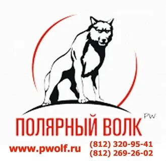Полярный волк размеры